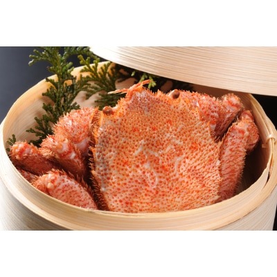 三特茹で毛ガニ　約800g×1尾　<網走産>