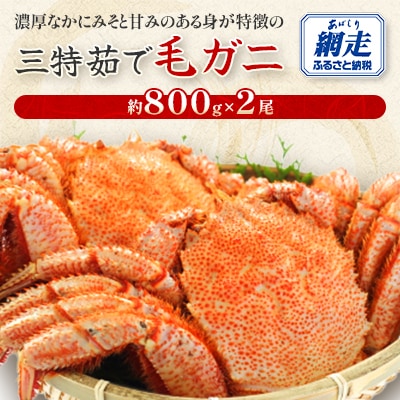 三特茹で毛ガニ　約800g×2尾　<網走産>