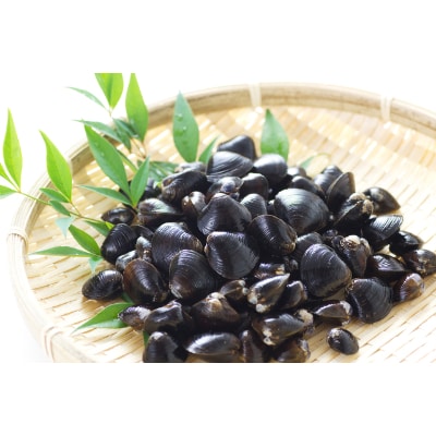 ＜網走湖産＞大粒天然冷凍大和しじみ(砂出し済)1.2kg(200g×6)