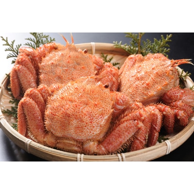 三特茹で毛ガニ約580g×3尾＜網走産＞