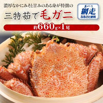 三特茹で毛ガニ約660g×1尾<網走産>