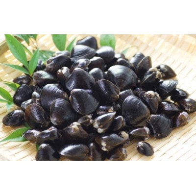【網走産】砂出し大和しじみ計1.4kg(200g×7)