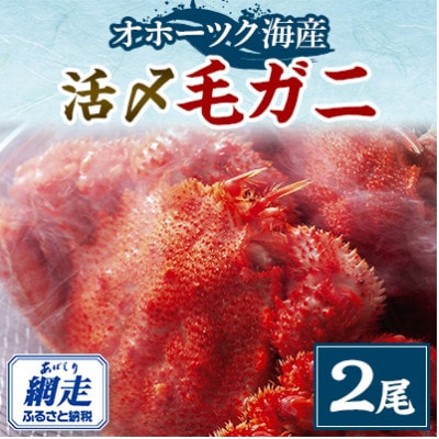 オホーツク産活〆毛ガニ　2尾