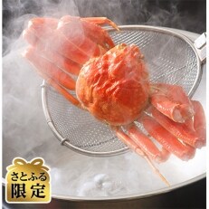 【さとふる限定】活〆浜茹でズワイガニ×1尾