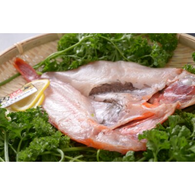 希少な高級魚 厳選 特大開き釣きんき 1尾 お礼品詳細 ふるさと納税なら さとふる