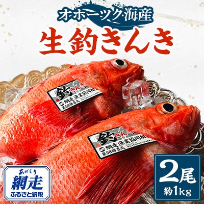 先行受付・網走産釣きんき2尾冷蔵便 【2024年8月下旬から10月末までに発送】