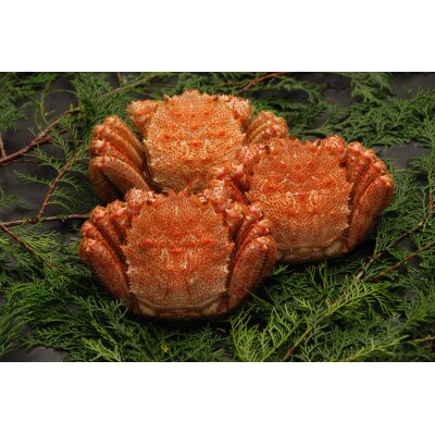 美味活〆浜茹で毛蟹3尾「堅蟹」セット(計約1kg)