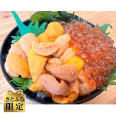 【さとふる限定】網走産蝦夷バフン雲丹・いくら冷凍便届け