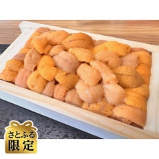 【さとふる限定】網走産バフン雲丹1折(50g) | ふるさと納税のお礼品