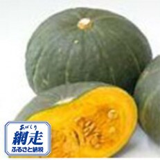 【2023年9月下旬より順次発送】ほくほく南瓜の詰め合わせ10kg