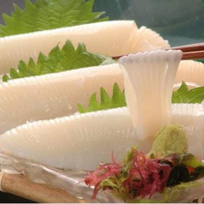 自宅でお好み丼!オホーツク美味海鮮丼セット「ホタテ、いくら、ばふんうに、イカ」