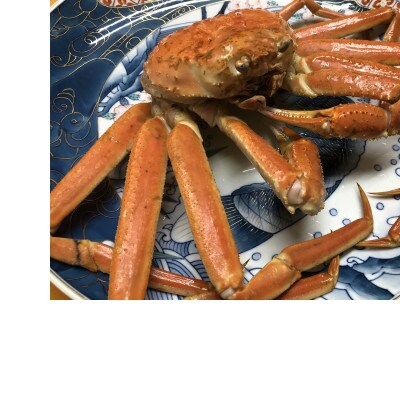 先行予約・オホーツク海の流氷海明け茹で毛蟹・ズワイ蟹2尾で1.5kg 冷蔵便届け