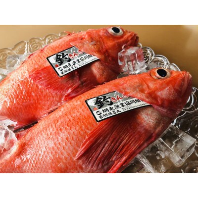 【さとふる限定】網走産釣りキンキ1尾約600g