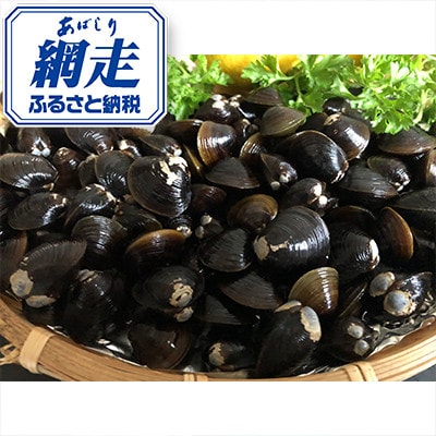【網走湖産】大粒 大和シジミ 500g×6袋 計3kg