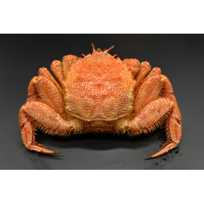 【数量限定】オホーツク海網走産活〆茹で毛蟹1尾約650g&いくら醤油漬けセット