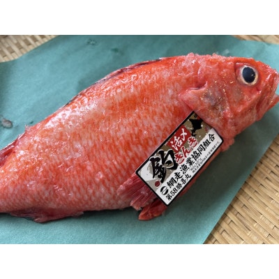 【期間限定】釣りキンキ1尾(約600g)冷蔵便届け