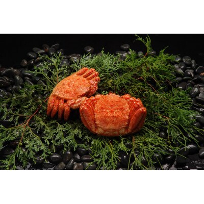 かにやの活〆茹で毛蟹2尾で約1kg・特製鱒いくら醤油漬80g×2瓶セット