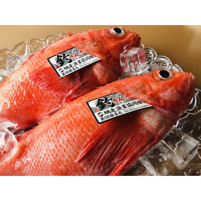 網走市だけの限定品ー炉端・五十集屋で大人気の網走限定開き釣りキンキ2尾　約1kgセット