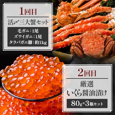 【毎月定期便】美味海鮮グルメ 3大蟹・無添加お刺身帆立・いくら醤油漬けなど全6回