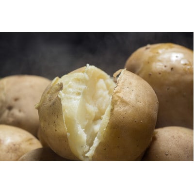 【発送月固定定期便】網走美味・旬の農産物定期便 網走美味全6回