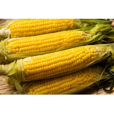 【発送月固定定期便】オホーツク産直市場かにやがお勧めする秋が旬の農産物定期便全3回