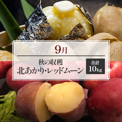 【発送月固定定期便】オホーツク産直市場かにやがお勧めする秋が旬の農産物定期便全3回