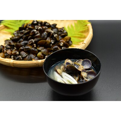 【さとふる限定】網走湖の大粒天然しじみ約1.0kg