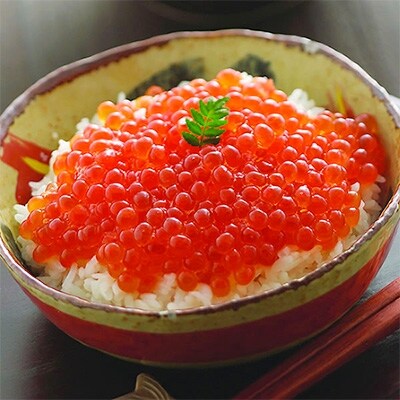 【2023年3月上旬発送】北海道 網走産 冷凍いくら醤油漬 500g