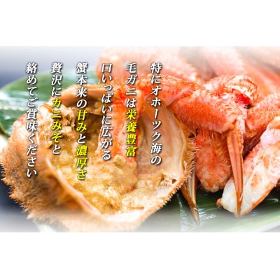 北海道 網走産 毛ガニ 400g前後