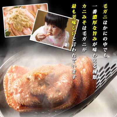 北海道 網走産 毛ガニ 440g前後