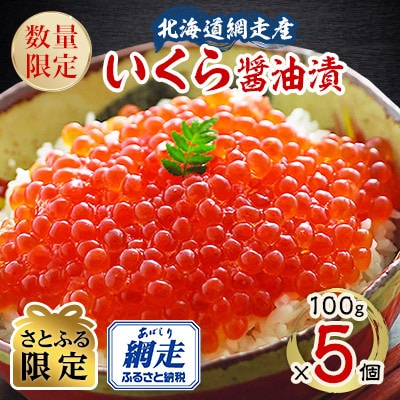【さとふる限定】【数量限定】北海道 網走産 冷凍いくら醤油漬 100g×5個