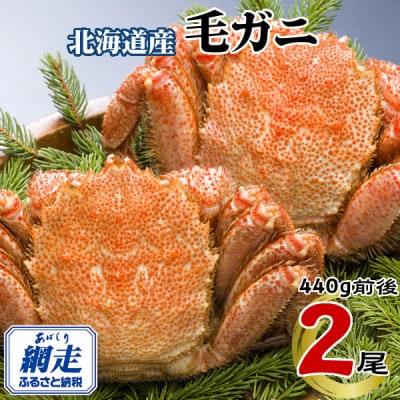 北海道網走産　冷凍 ボイル毛ガニ　440g前後×2尾