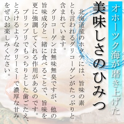 【毎月定期便】北海道網走産 冷凍ホタテ貝柱 500g全3回