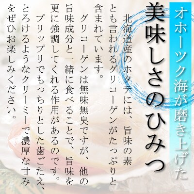 【毎月定期便】北海道網走産 冷凍ホタテ貝柱 500g 全3回