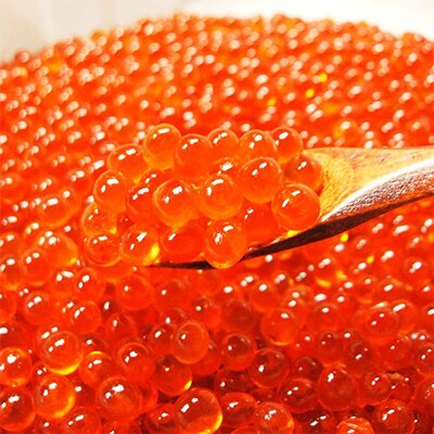 【毎月定期便】北海道網走産 いくら醤油漬 500g 全3回