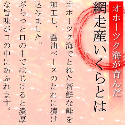 【毎月定期便】北海道網走産 いくら醤油漬 500g 全3回