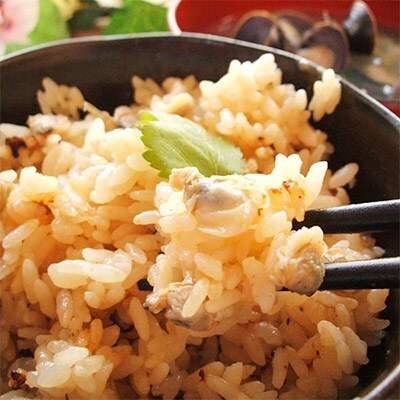 2020年5月発送開始『定期便』北海道 網走湖産 冷凍しじみ 500g×2 全3回