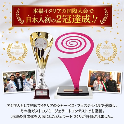 ジェラート国際大会優勝店「Rimo」カップソフトクリーム16個セット