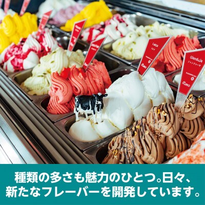 ジェラート国際大会優勝店「Rimo」おすすめ12個セット