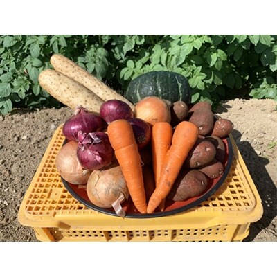 北海道藤石農産　野菜の6種詰め合わせ