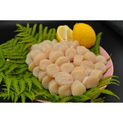 網走湖産大粒しじみ&お刺身帆立 合計3kgセット | お礼品詳細 ...