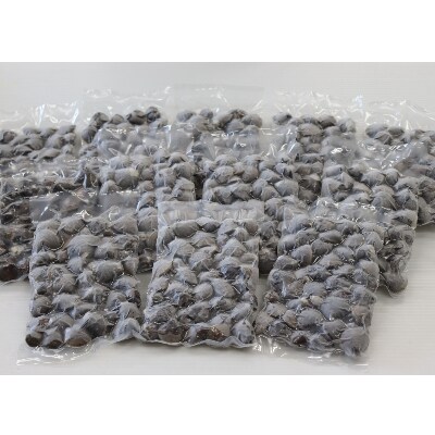 北海道網走湖産　冷凍　シジミ　250g x 12袋入(砂抜き済み)