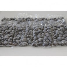 北海道網走湖産 冷凍 シジミ 250g x 8袋入(砂抜き済み)