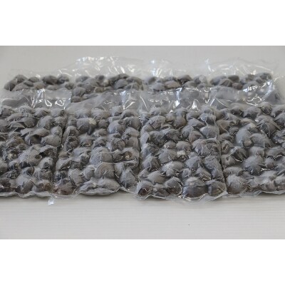北海道網走湖産 冷凍 シジミ 250g x 8袋入(砂抜き済み)