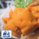 【網走前浜産】 冷凍蝦夷ばふん雲丹　100g