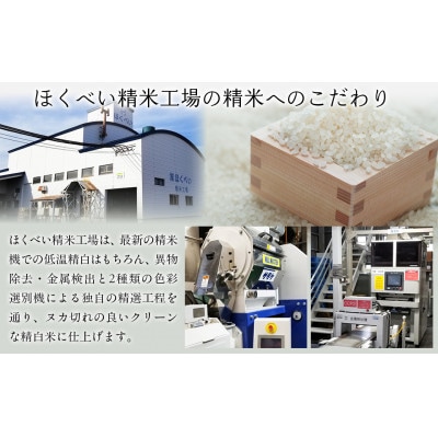 【令和7年産】北海道産ゆめぴりか(精米)10kg(5kg×2)