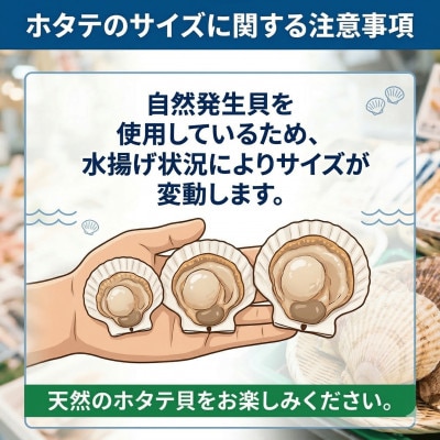 冷凍生剥きほたて　1kg(500g×2)(2026年3月より順次発送)