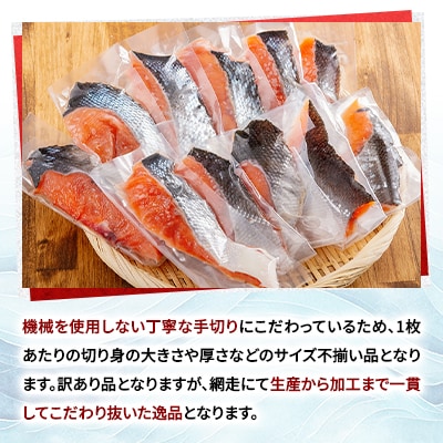 【訳あり】【無添加】北海道網走産天然鮭切り身　800g