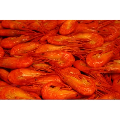 【訳あり・数量限定】【年内発送】北海道網走産　浜茹で産直北海しまえび1kg(サイズ混合)