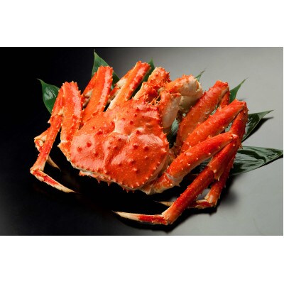 網走産アブラガニ内子(塩漬け)　80g×3本